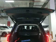 Great Wall Dachshund 2.0T DCT Four-Wheel Drive Howling Celestial Dog Edition - ფოტო 18