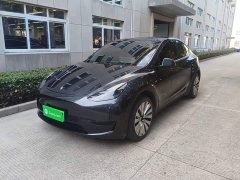 Tesla Model Y Rear-Wheel Drive - ფოტო 1