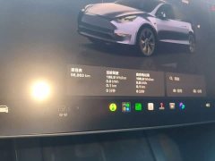 Tesla Model Y Rear-Wheel Drive - ფოტო 11