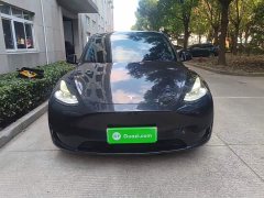 Tesla Model Y Rear-Wheel Drive - ფოტო 2