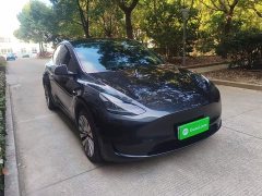 Tesla Model Y Rear-Wheel Drive - ფოტო 3