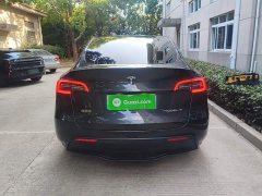 Tesla Model Y Rear-Wheel Drive - ფოტო 5