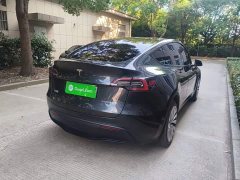 Tesla Model Y Rear-Wheel Drive - ფოტო 6