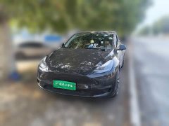 Tesla Model Y Standard Range RWD - ფოტო 1
