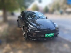 Tesla Model Y Standard Range RWD - ფოტო 3