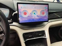 BYD Song Plus New Energy Champion Edition EV 520KM Luxury - ფოტო 12