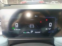 Geely Geometry E Firefly 401km Fluorescent - ფოტო 11