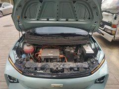 Geely Geometry E Firefly 401km Fluorescent - ფოტო 19