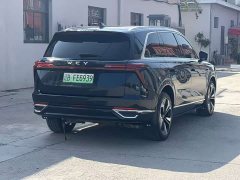 Great Wall WEY Blue Mountain 2023 Four-Wheel Drive Extended Range Version - ფოტო 13