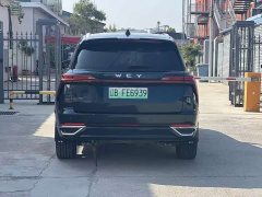 Great Wall WEY Blue Mountain 2023 Four-Wheel Drive Extended Range Version - ფოტო 14