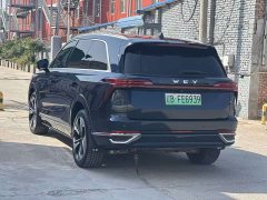 Great Wall WEY Blue Mountain 2023 Four-Wheel Drive Extended Range Version - ფოტო 15