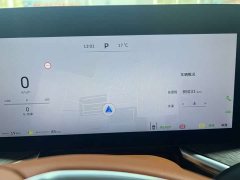 Great Wall WEY Blue Mountain 2023 Four-Wheel Drive Extended Range Version - ფოტო 9