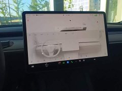 Tesla Model Y Rear-Wheel Drive - ფოტო 12
