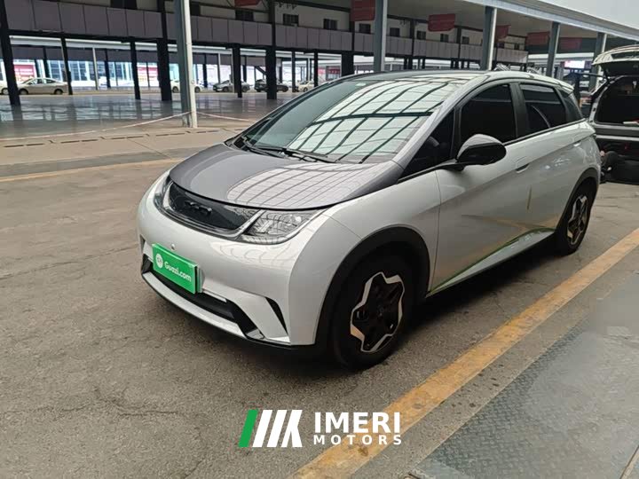 BYD Dolphin 405km Fashion Edition - ავტომობილი ჩინეთიდან