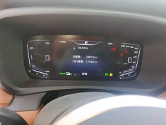 FAW Red Flag HQ9 PHEV 2.0T AWD Business Edition - ფოტო 7