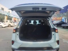 Wuling Xingchen 2.0L DHT Electric Speed Edition - ფოტო 18
