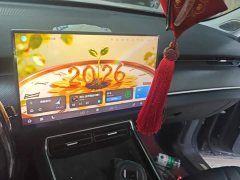 Chery Fengyun T9 120 Long Range Comfort 5-Seater LFP - ფოტო 13