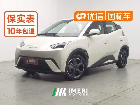 2023 BYD Seagull Freedom Edition