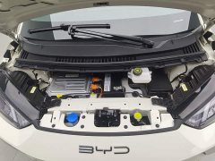 BYD Seagull Freedom Edition - ფოტო 6