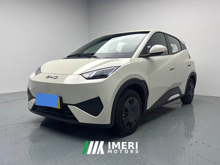 BYD Seagull 2025 305km Vitality Edition - ავტომობილი ჩინეთიდან