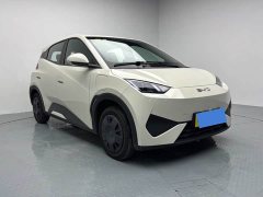 BYD Seagull 2025 305km Vitality Edition - ფოტო 3