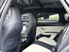 BYD Song Plus New Energy 2021 DM-i 110KM Flagship Plus - ფოტო 6