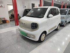 FAW Besturn Xiaoma 170km Vitality Edition - ფოტო 1