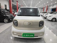 FAW Besturn Xiaoma 170km Vitality Edition - ფოტო 2