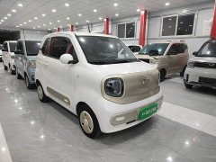 FAW Besturn Xiaoma 170km Vitality Edition - ფოტო 3