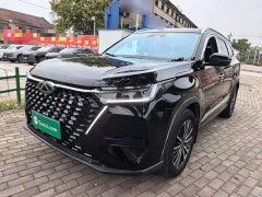 Chery Tiggo 8 PRO Champion Edition 290T Two-Wheel Drive Radiant Edition 5-Seater - ფოტო 1