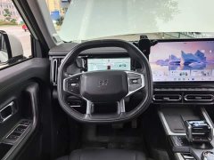Jetour Jietu Shanhai T1 150km Explorer - ფოტო 10