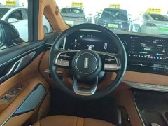 Great Wall WEY Shanshan New Energy 2023 Four-Wheel Drive Executive Extended Version - ფოტო 10