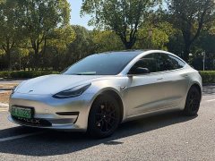 Tesla Model 3 2020 Standard Range RWD Upgrade - ფოტო 1