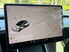 Tesla Model 3 2020 Standard Range RWD Upgrade - ფოტო 14