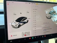 Tesla Model 3 2020 Standard Range RWD Upgrade - ფოტო 16