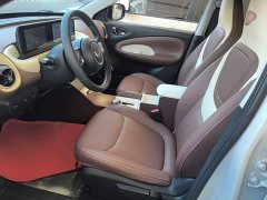 Wuling Binguo 333km Joy Edition - ფოტო 14