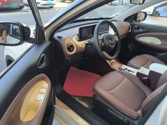 Wuling Binguo 333km Joy Edition - ფოტო 15