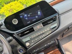 Lexus ES 300h Premium Edition - ფოტო 10