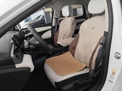 BYD Seagull 05 DM-i Smart Drive Edition 55KM Luxury - ფოტო 14