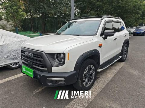 2022 Great Wall Dachshund 2.0T DCT Four-Wheel Drive Howling Celestial Dog Hunting Edition - ავტომობილი ჩინეთიდან