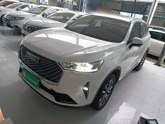 Haval H6 2022 Third Generation 1.5T Automatic Two-Wheel Drive Pro - ფოტო 1