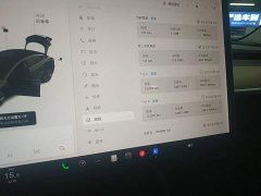 Tesla Model 3 Standard Range RWD Upgrade - ფოტო 11