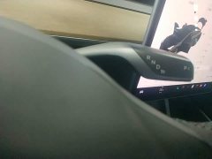 Tesla Model 3 Standard Range RWD Upgrade - ფოტო 13