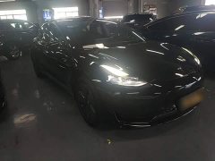 Tesla Model 3 Standard Range RWD Upgrade - ფოტო 3