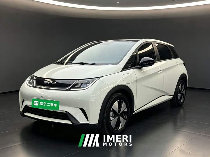 BYD Dolphin 420km Fashion Edition - ავტომობილი ჩინეთიდან