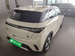 BYD Dolphin 420km Fashion Edition - ფოტო 6