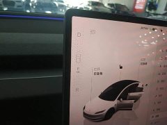 Tesla Model 3 Rear-Wheel Drive - ფოტო 13