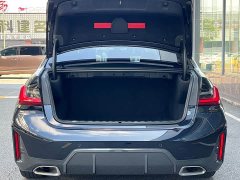 BMW 3 Series 320Li M Sport Package - ფოტო 13