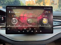 BYD Yuan Plus DM-i 2.0T AWD High Performance Genesis Flagship - ფოტო 10