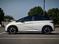 BYD Dolphin 405km Fashion Edition - ფოტო 4